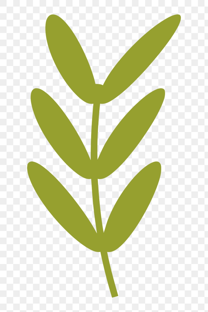 Leaves png illustration, transparent background